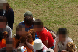 paw_meeting_C-287.jpg