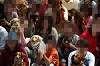 paw_meeting_C-289_thumb.png