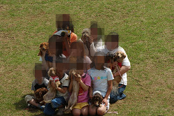 paw_meeting_C-290.jpg