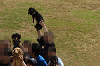 paw_meeting_C-291_thumb.png