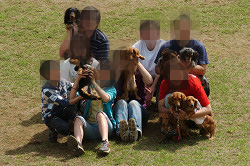 paw_meeting_C-294.jpg