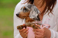 DoggyPark_A-077_thumb.png