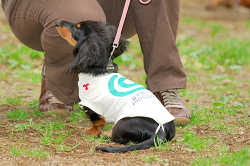 DoggyPark_A-094.jpg