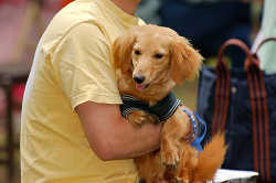 DoggyPark_A-143.jpg