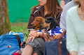 DoggyPark_A-164_thumb.png