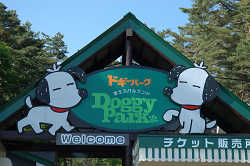 DoggyPark_B-190.jpg