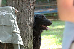 DoggyPark_B-194.jpg