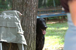 DoggyPark_B-195.jpg
