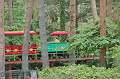 DoggyPark_B-203_thumb.png