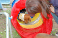 DoggyPark_B-230_thumb.png