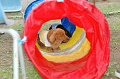 DoggyPark_B-231_thumb.png