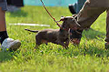 050918_sports_A-0016_thumb.png