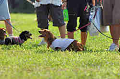 050918_sports_A-0017_thumb.png