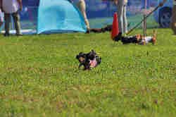 050918_sports_A-0024.jpg