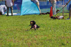 050918_sports_A-0025.jpg