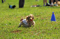 050918_sports_A-0026_thumb.png