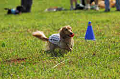 050918_sports_A-0027_thumb.png