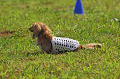 050918_sports_A-0028_thumb.png