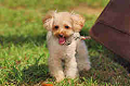 050918_sports_A-0032_thumb.png