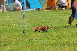 050918_sports_A-0035.jpg