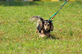 050918_sports_A-0041_thumb.png