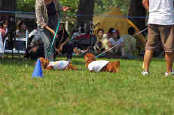 050918_sports_A-0043.jpg