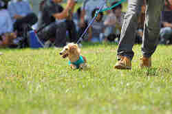 050918_sports_A-0045.jpg