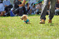 050918_sports_A-0045_thumb.png