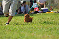 050918_sports_A-0054_thumb.png