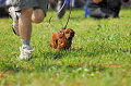 050918_sports_A-0056_thumb.png