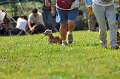 050918_sports_A-0068_thumb.png