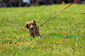 050918_sports_A-0069_thumb.png