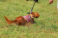 050918_sports_A-0071_thumb.png