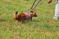 050918_sports_A-0072_thumb.png