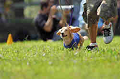 050918_sports_A-0074_thumb.png