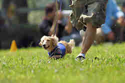 050918_sports_A-0075.jpg