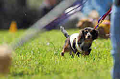 050918_sports_A-0076_thumb.png