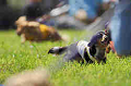 050918_sports_A-0077_thumb.png