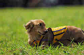 050918_sports_A-0082_thumb.png