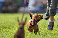 050918_sports_A-0087_thumb.png