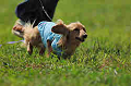050918_sports_A-0088_thumb.png