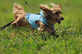 050918_sports_A-0089_thumb.png