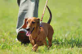050918_sports_A-0092_thumb.png