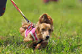 050918_sports_A-0093_thumb.png
