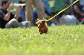 050918_sports_A-0096_thumb.png