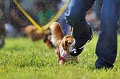 050918_sports_A-0100_thumb.png