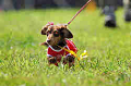 050918_sports_A-0102_thumb.png