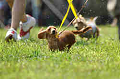050918_sports_A-0105_thumb.png