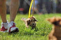 050918_sports_A-0108_thumb.png