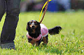 050918_sports_A-0109_thumb.png